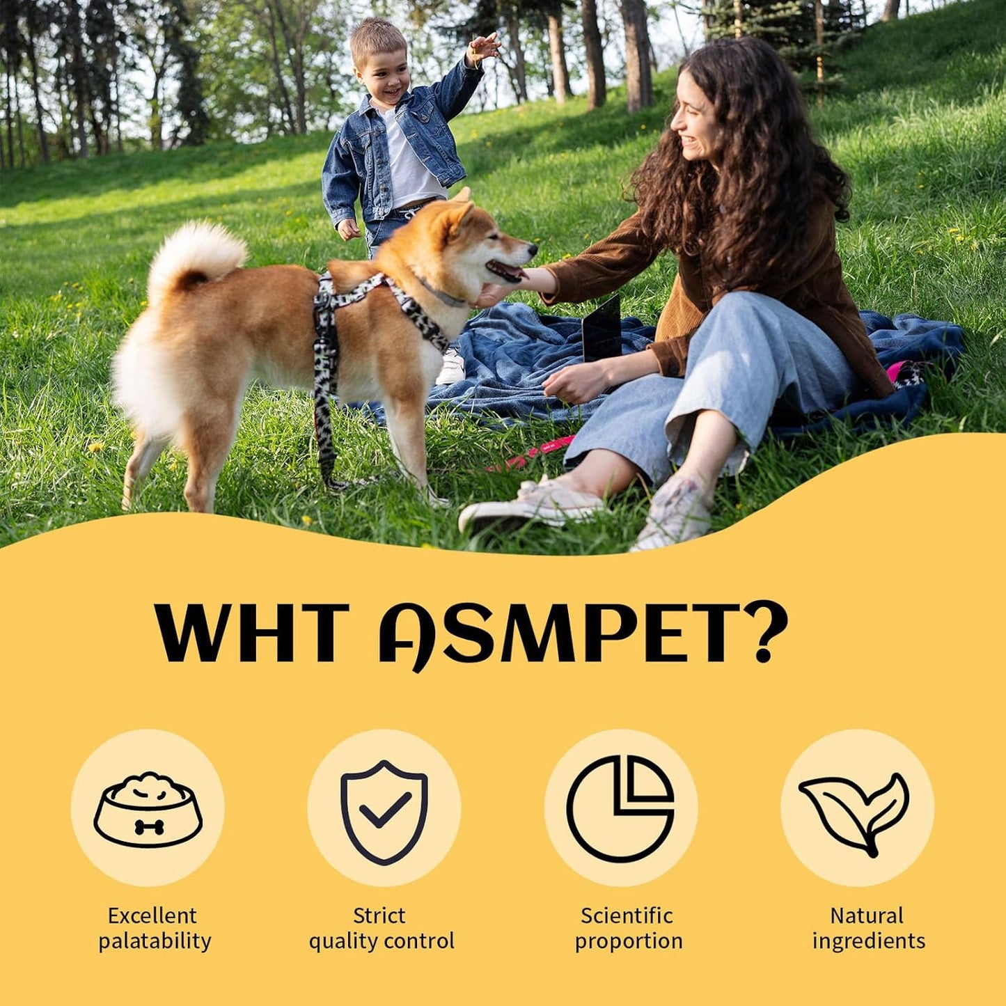 ASMPET Chicken Chips - Chicken Jerky Chews, Protein-Rich, Grain-Free, for Large & Medium Dogs
