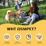 ASMPET Chicken Chips - Chicken Jerky Chews, Protein-Rich, Grain-Free, for Large & Medium Dogs