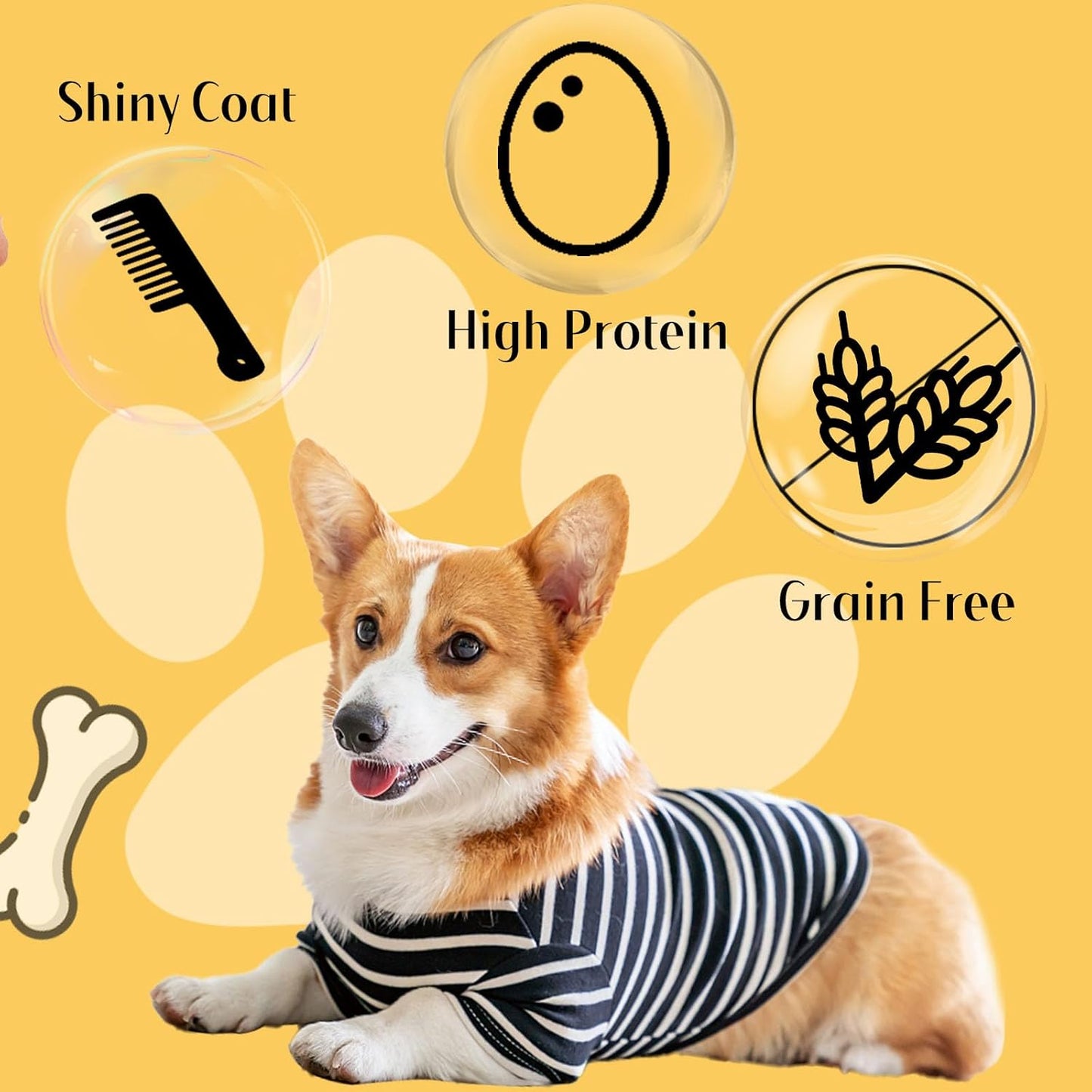 ASMPET Chicken Chips - Chicken Jerky Chews, Protein-Rich, Grain-Free, for Large & Medium Dogs