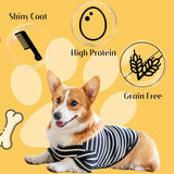 ASMPET Chicken Chips - Chicken Jerky Chews, Protein-Rich, Grain-Free, for Large & Medium Dogs