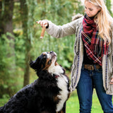 ASMPET Dog Treats - Chicken Wrapped Sweet Potato Sticks, Long Lasting, Rawhide-Free for Medium & Large Dogs