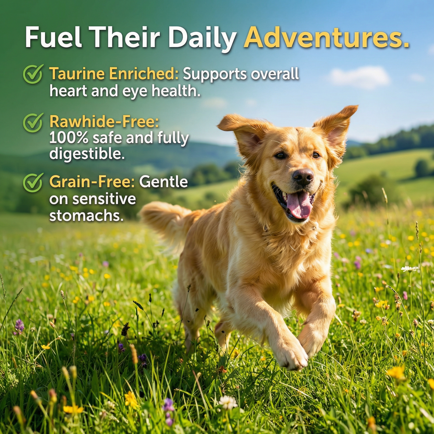 Pawmate™ Human Grade Beef Jerky & Sweet Potato Chews - Grain-Free Fiber-Rich Dog Training Treats