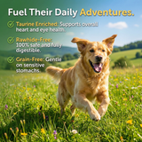 Pawmate™ Human Grade Beef Jerky & Sweet Potato Chews - Grain-Free Fiber-Rich Dog Training Treats