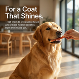 Pawmate™ Soft & Chewy Chicken Jerky Wrapped Cod - Human Grade Omega-3 Rewards