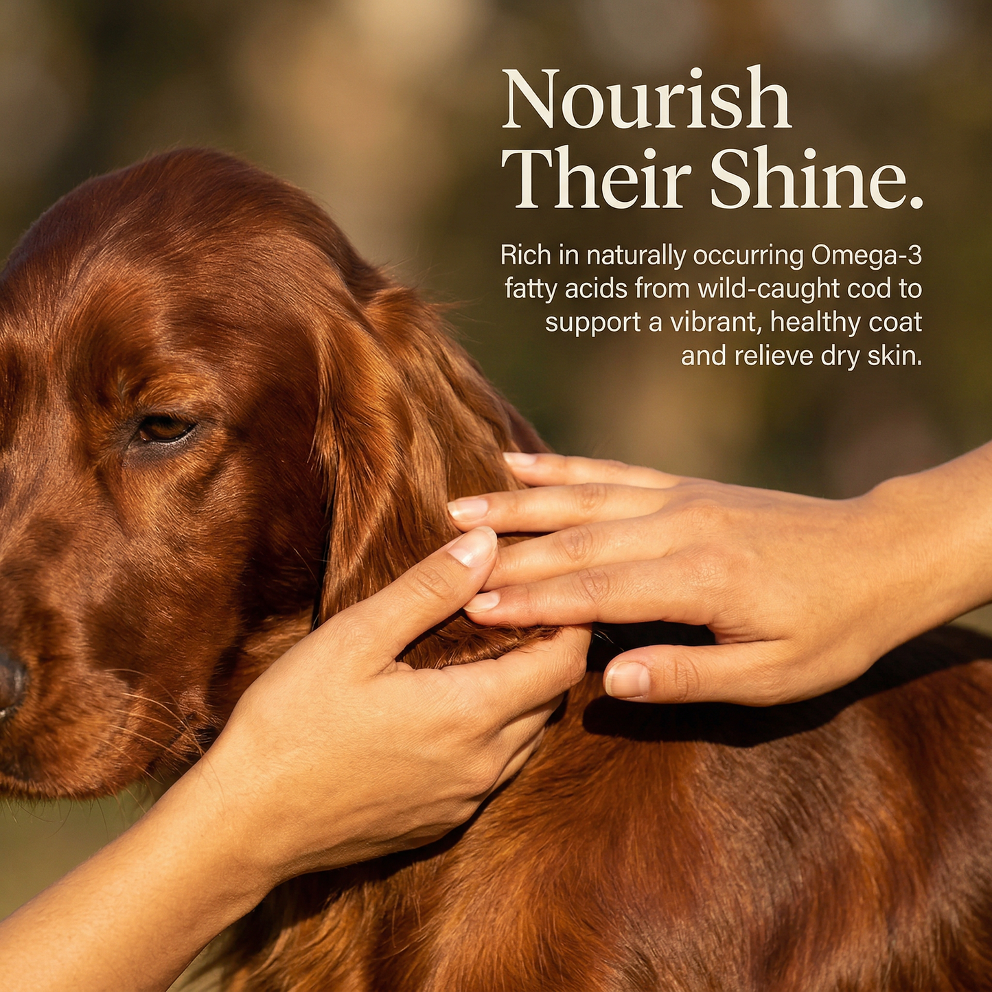 Pawmate™ Human Grade Cod Skin Twists - Long Lasting Dog Chews for Skin & Coat