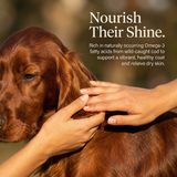 Pawmate™ Human Grade Cod Skin Twists - Long Lasting Dog Chews for Skin & Coat