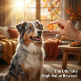 Pawmate™ Human Grade Chicken Jerky Chips - Grain-Free High-Protein Dog Training Treats