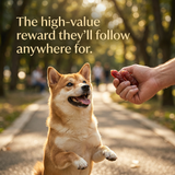 Pawmate™ Human Grade Duck Sausage - High-Protein Dog Training Treats (Grain-Free)