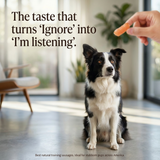 Pawmate™ Human Grade Chicken Sausage - Grain-Free High-Value Dog Training Treats