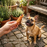 Pawmate™ Human Grade Chicken & Sweet Potato Soft Chews - High-Fiber Dog Training Treats