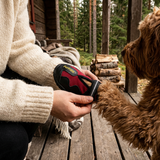 The Alpine Scout Performance Boot