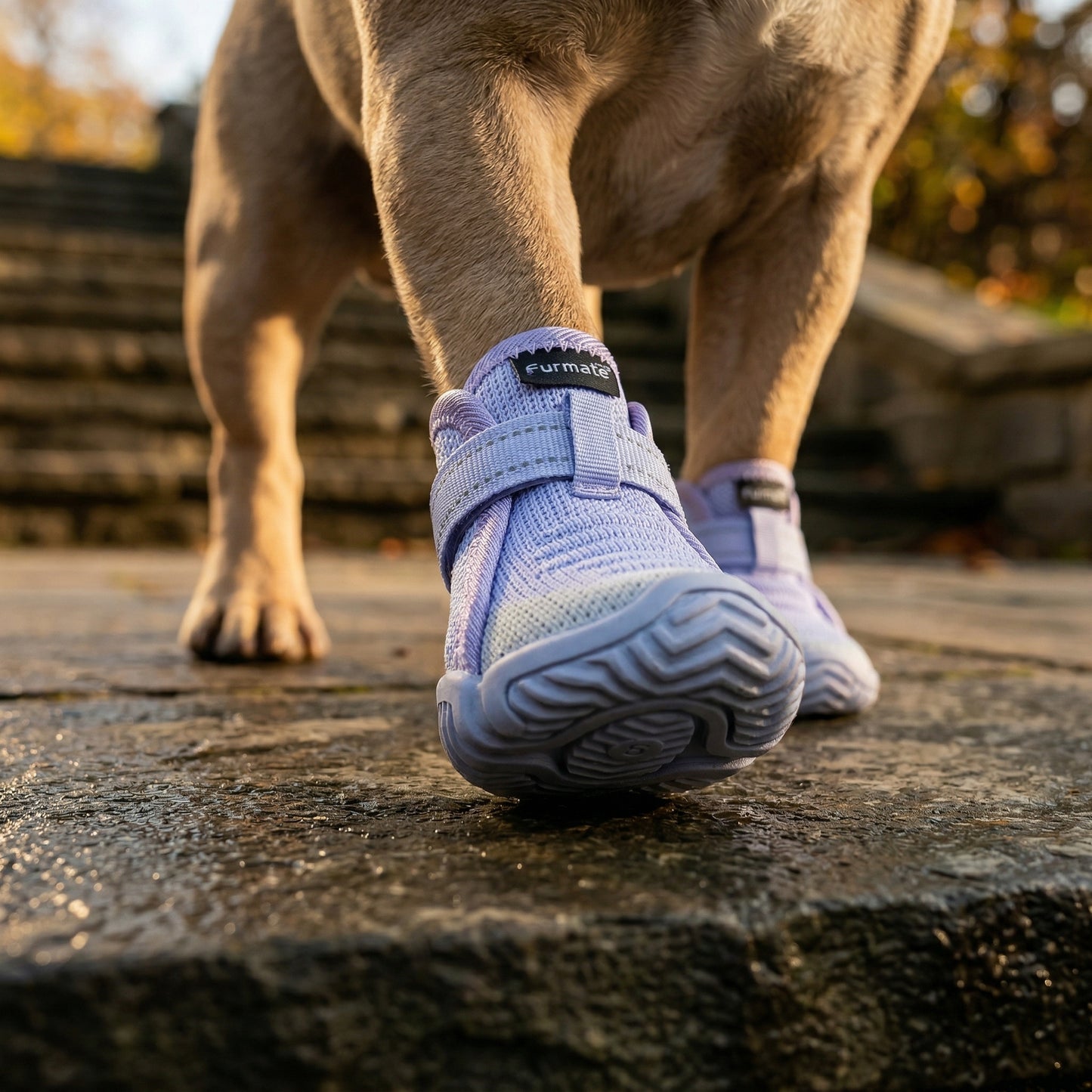 All-Weather Dog Boots-Purple