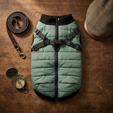 Dog Winter Jacket-Green