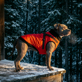 Dog Winter Jacket-Red