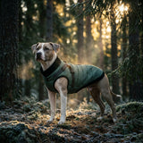 Dog Winter Jacket-Green