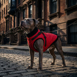 Dog Winter Jacket-Red