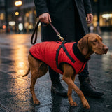 Dog Winter Jacket-Red