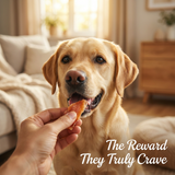 Premium Chicken Jerky Healthy Snacks