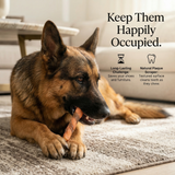 Pawmate™ Human Grade Cod Skin Twists - Supports Skin & Coat Health Long Lasting Rewards
