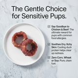 Pawmate™  Duck Wrapped Sweet Potato Donuts