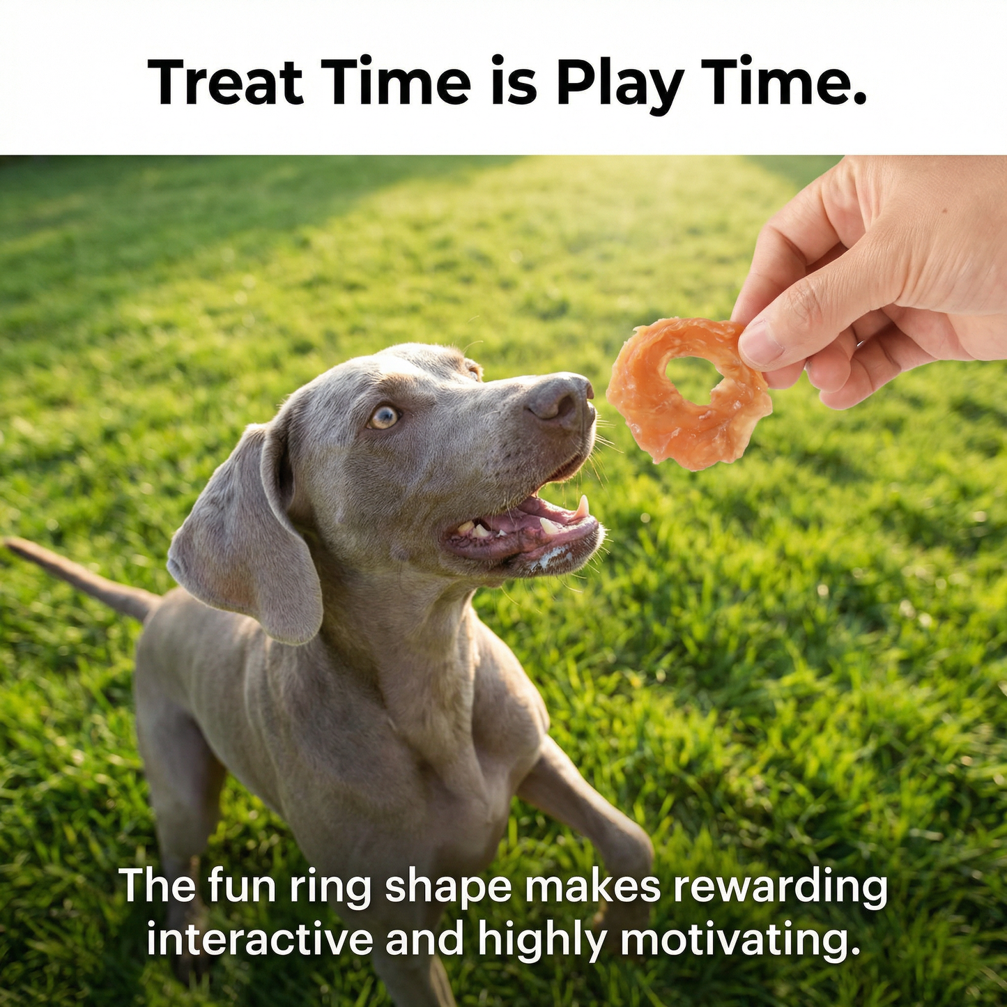 Pawmate™ Natural Dog Treats - Long-Lasting Chicken Jerky Rings Safe Dog Treats (23 Count)