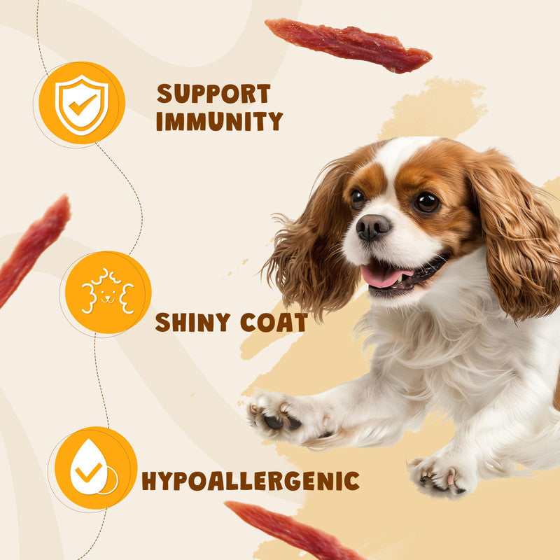 ASMPET Duck Jerky Dog Treat, Natural Low Fat Snacks for Small Medium Large Dogs, 10.6oz