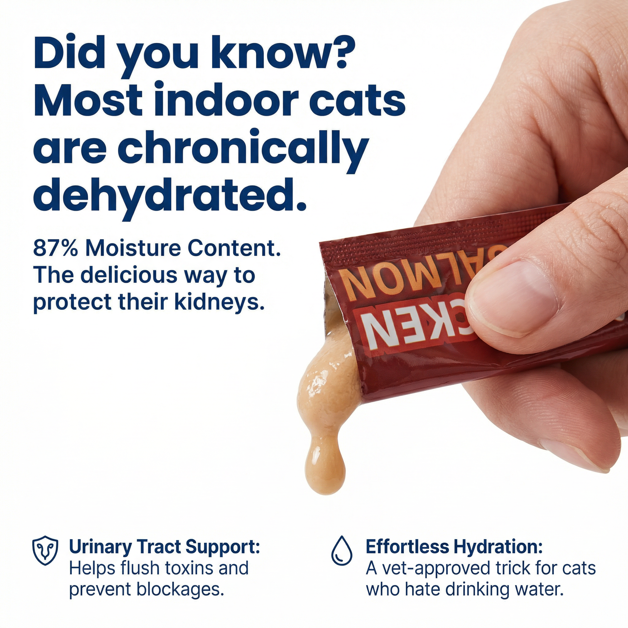 Chicken & Salmon Lickable Cat Treats