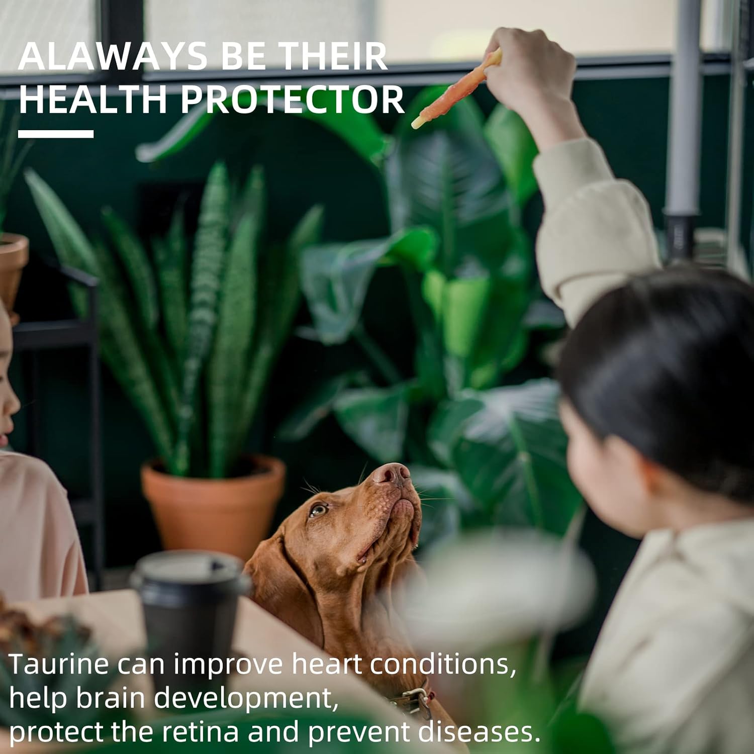 Chicken Wrapped Cod Sticks 40-track