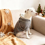 Dog Hoodie- Light Grey