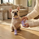All-Weather Dog Boots-Purple