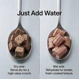 Pawmate™ Natural Dog Treats - Single Ingredient Freeze-Dried Duck Treats for Dogs & Cats (10.23oz)