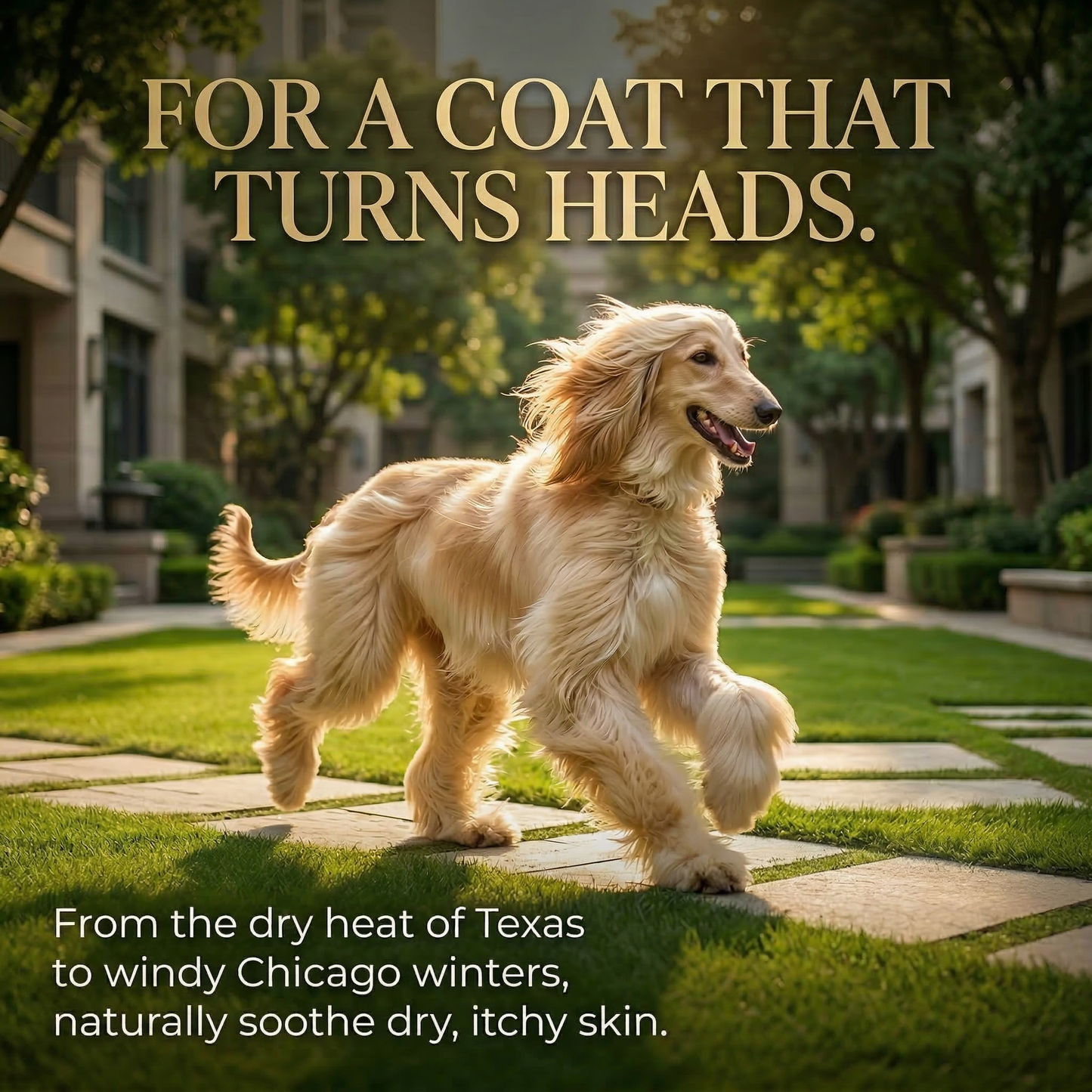 Pawmate™ Human Grade Cod Skin Twists - Supports Skin & Coat Health Long Lasting Rewards