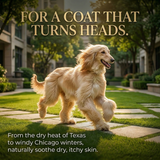 Pawmate™ Human Grade Cod Skin Twists - Supports Skin & Coat Health Long Lasting Rewards